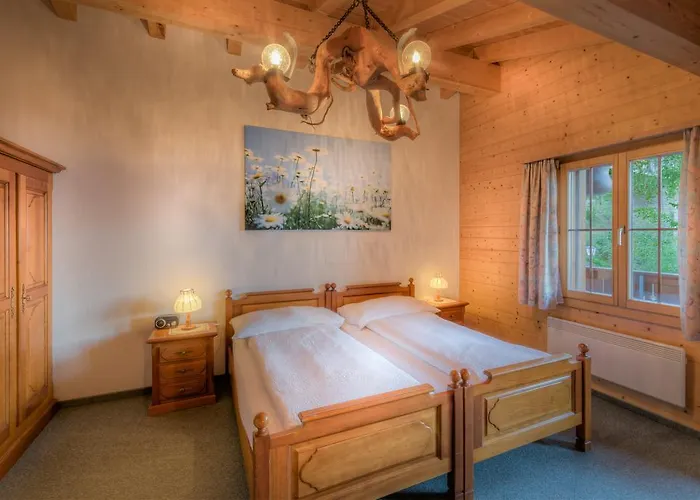 Wildbach Hotel Brienz (Bern)