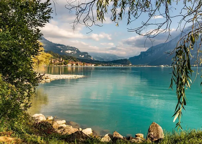 Wildbach Brienz (Bern)