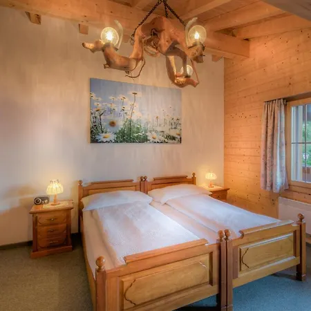 Wildbach Szálloda Brienz (BE)
