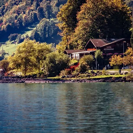Wildbach