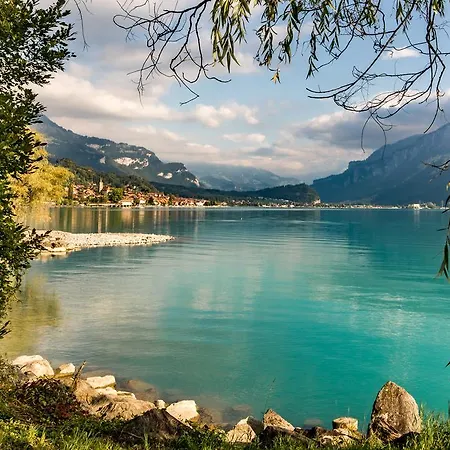 Wildbach Brienz (BE)